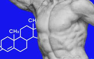 Как рассчитать свободный тестостерон (формула и единицы измерения)