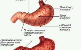 Как выявить и чем лечить очаговый гастрит?