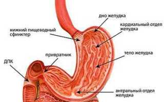 Что такое антральный гастрит и как его лечить?