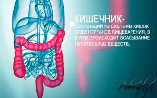 Очищение кишечника клизмой — быстрое средство для выхода из похмелья