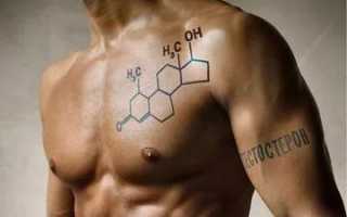 Мужской половой гормон, норма, недостаток и избыток