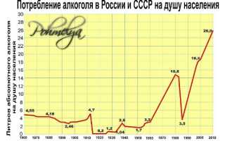 Потребление алкоголя в России. Особенности и масштаб проблемы