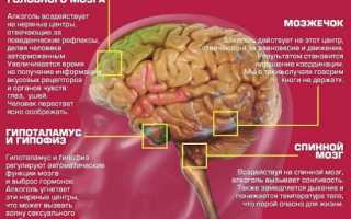 Как алкоголь влияет на человеческий мозг: последствия употребления