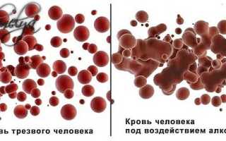 Алкоголь разжижает или сгущает кровь в организме?